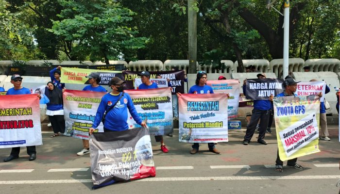 Puluhan Peternak Ayam Gelar Aksi Demo di Monas, Tuntut Perhatian Pemerintah